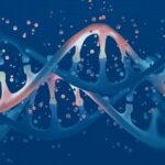 kuenstliche-intelligenz-in-der-medizin