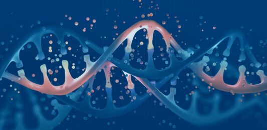 Künstliche Intelligenz in der Medizin