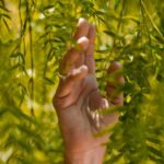 Geld-nachhaltig-anlegen