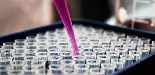 Was ist Wissenschaft und wie kann die Gesellschaft davon profitieren?